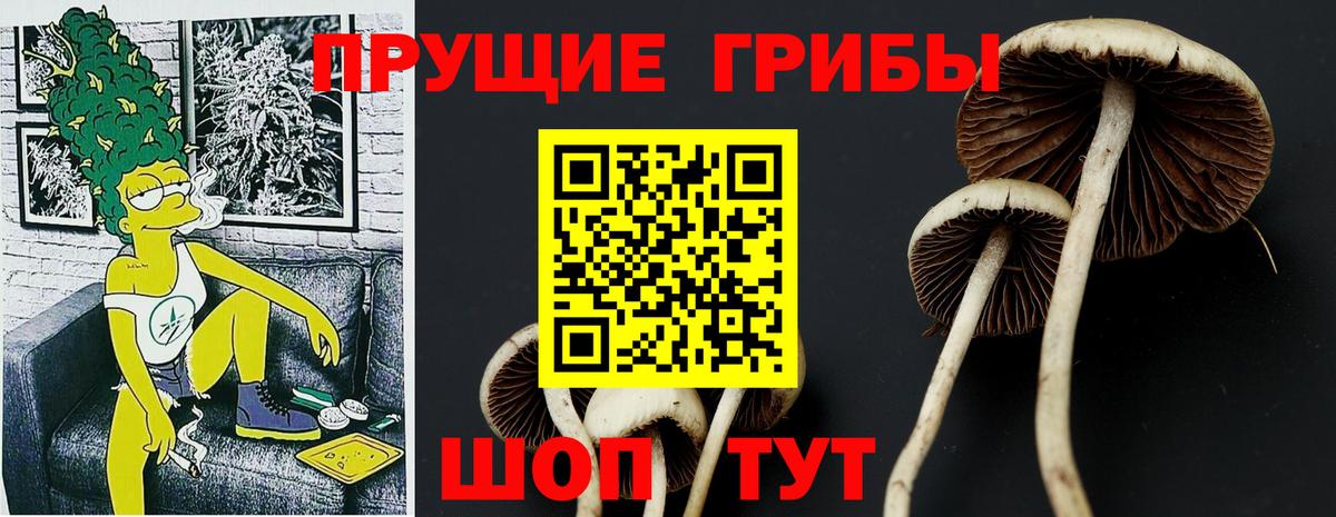 Верхняя Пышма  магазин продажи   Вход с VPN  Галлюциногенные грибы MAGIC MUSHROOMS 