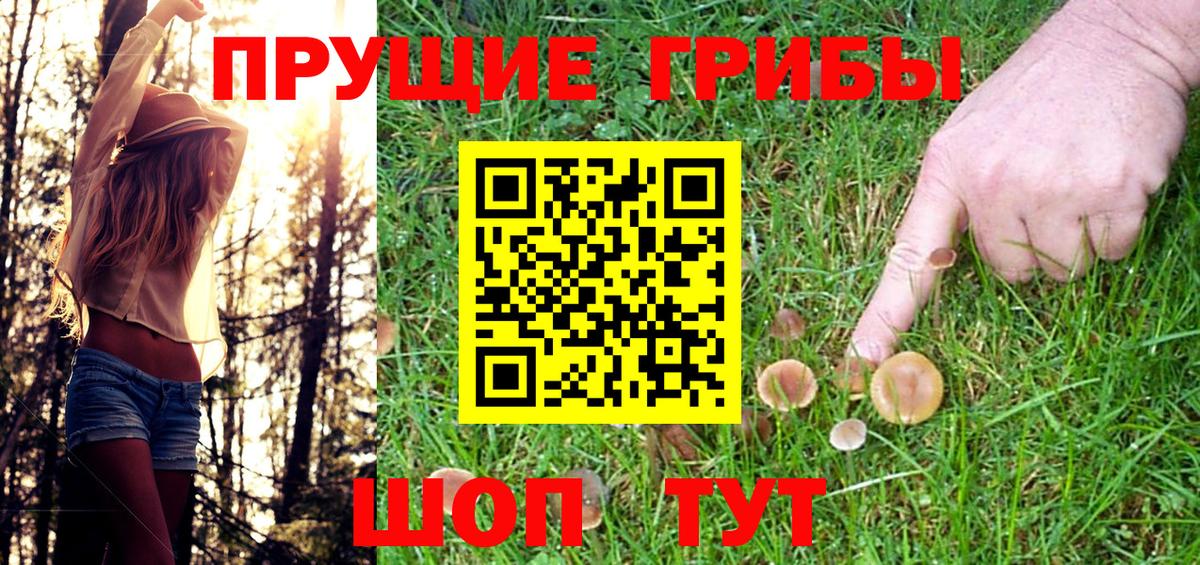 Псилоцибиновые грибы Cubensis Верхняя Пышма